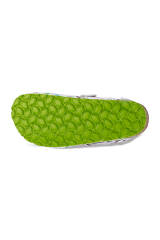 Sabot